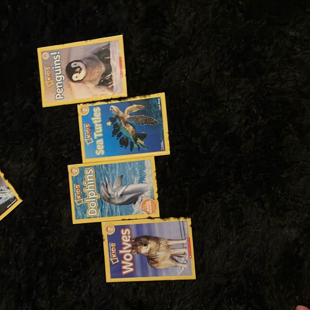 Animal Cards Set - Yellow